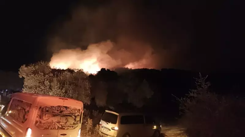 Muğla'da Orman Yangını: Alevler Marmaris ve Köyceğiz'i Tehdit Ediyor!