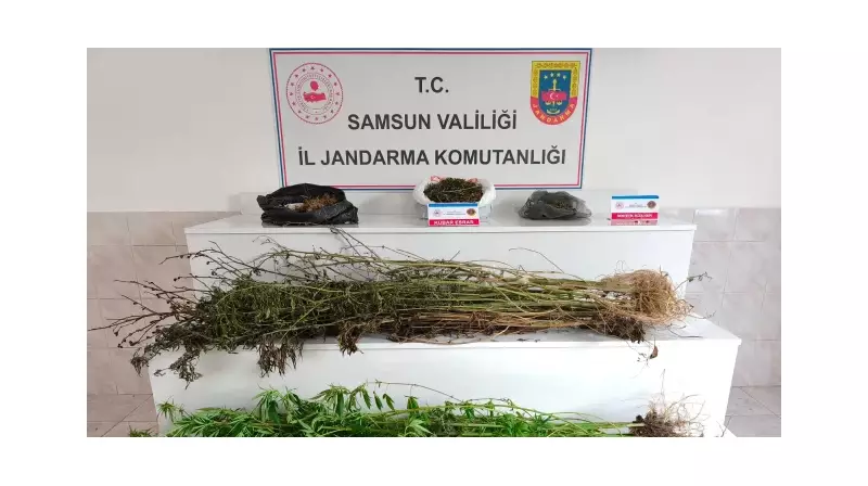 Samsun'da Gece Yarısı Baskını! Uyuşturucu Operasyonunda Kritik Tutuklamalar