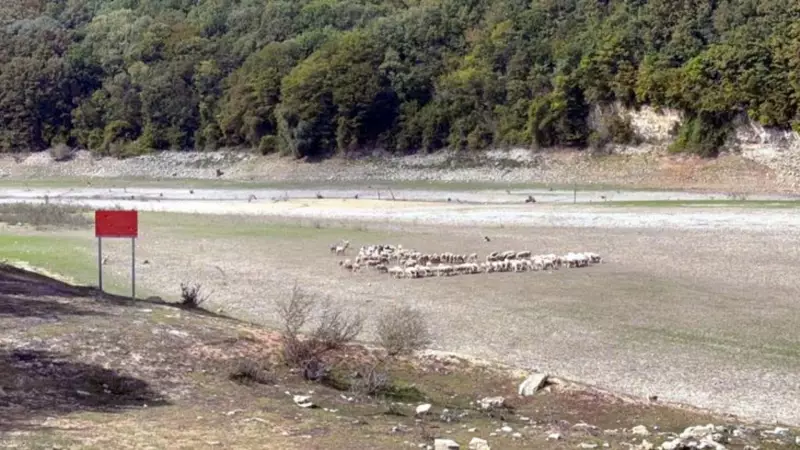 İstanbul'un Su Krizi Derinleşiyor: Barajlardaki Doluluk Yüzde 30'un Altına İndi!