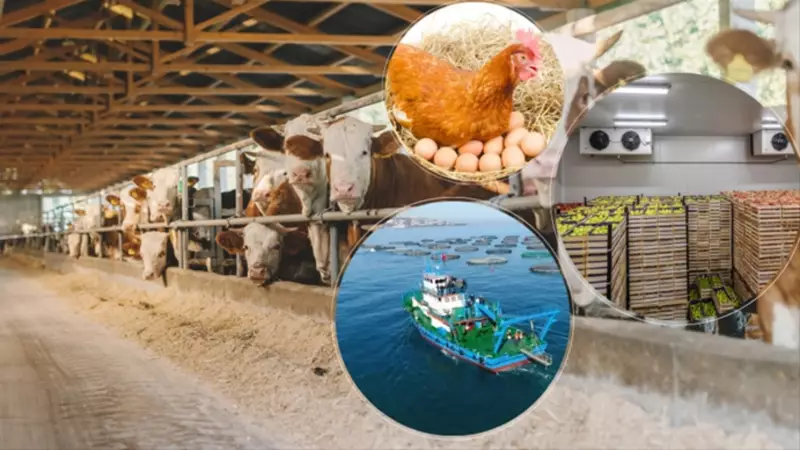 Tarım ve Balıkçılığa Avrupa Rüzgarı: IPARD III ile Yatırımlara Tam Destek!