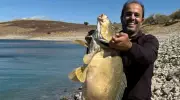 Elazığ'da Dev Sazan Avı! Amatör Balıkçıdan 21 Kiloluk Rekor