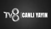 Gürcistan-Türkiye Maçı Canlı İzle: TV8 Şifresiz Yayın Akışı ve Detaylar!