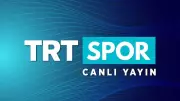 Hollanda-Türkiye Voleybol Maçı CANLI: TRT Spor'dan Şifresiz ve Ücretsiz İzleme Fırsatı!
