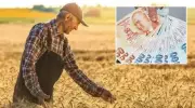Çiftçiye Müjde! Destek Ödemeleri Hesaplarda - İşte Detaylar