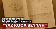 Sosyal Medyayı Sarsan O Görüntü: 'Yaz Koca Seyyah' Fenomeni Nasıl Doğdu?