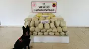 Van'da Tarihi Uyuşturucu Operasyonu: 106 Kilo 714 Gram Esrar Ele Geçirildi!