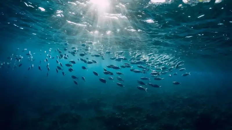 190 Milyon Yıllık Ejderha: Bilim Dünyasını Sarsan Keşif!