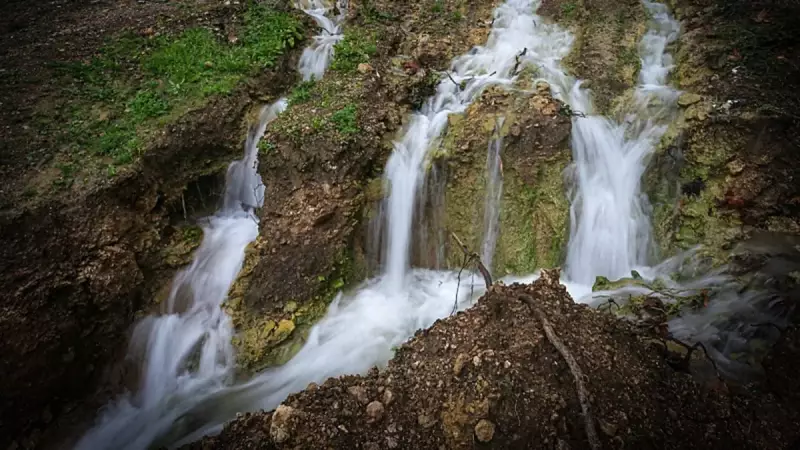 20 Yıl Sonra Mucize Gerçek Oldu: Depremle Kuruyan Pınar Yeniden Canlandı!