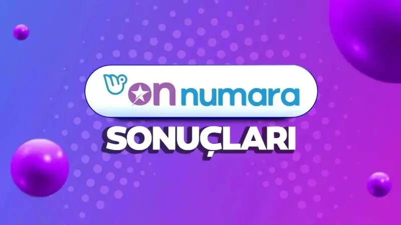24 Ekim Şanslı On Numara! Kazanan Numaralar Açıklandı, Sorgulama Ekranı Aktif