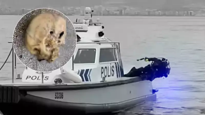 Amatör Balıkçı Oltasına İnanılmaz Şey Takıldı! Kafatası Çıktı