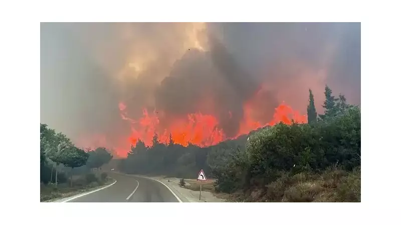 Çanakkale'nin Yanan Ormanlarına Can Suyu: Küllerinden Yeniden Doğacak!