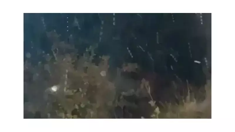 Çankırı Beyaza Büründü! Kar Kalınlığı 10 Santimetreyi Buldu