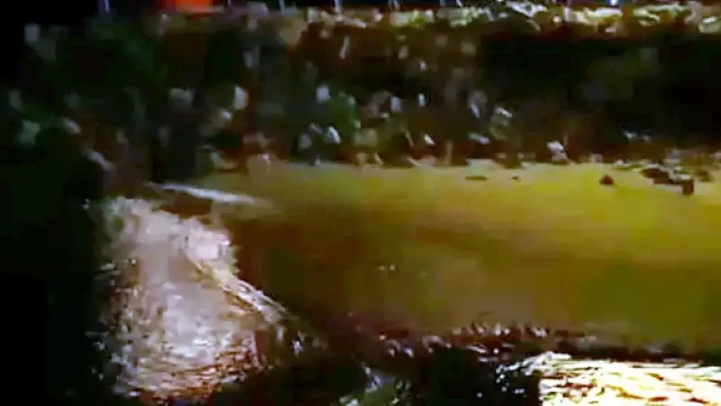 Arnavutköy'de Yaşananlar Şaşırttı: Deprem Öncesi Deniz Çekilmesi Görenleri Hayrete Düşürdü!