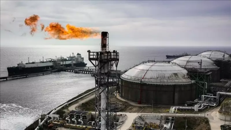 Avrupa'nın LNG Terminali Yatırımları Fren Yapıyor: Enerji Devriminde Beklenmedik Yavaşlama