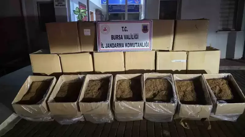 Bursa'da Kaçak Tütün Operasyonu: 750 Kilo Ele Geçirildi!