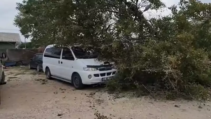 Bursa'da Lodos Fırtınası: Ağaçlar Devrildi, Çatılar Uçtu! Uzmanlar Vatandaşları Uyarıyor