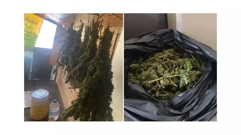 Bursa'da Şok Operasyon: Güvercin Kümesinde Uyuşturucu Deposu!