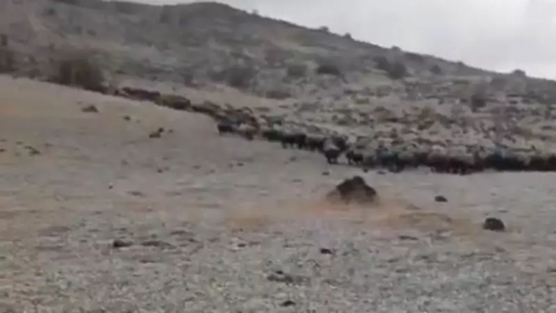 Elazığ'da Yıldırım Dehşeti! Alev Topları Yere İndi, Vatandaşlar Donakaldı