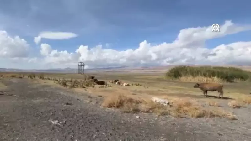 Erçek Gölü Alarm Veriyor: 30 Yılda 6 Km² Su Kaybı!