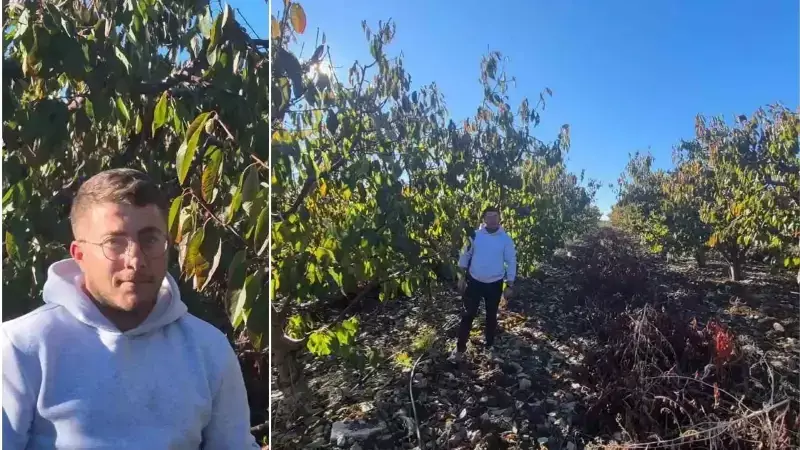 Eskişehir'de Tarımı Donduran Felaket! Çiftçilere 55 Milyon TL Can Suyu