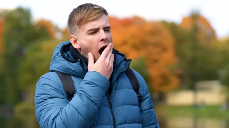 Esnerken Gözlerimiz Neden Sulanır? İşte Şaşırtıcı Bilimsel Gerçekek!