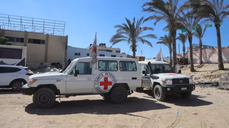 Filistin'deki Kurbanların Otopsisi Korkunç Gerçeği Ortaya Çıkardı: Cesetlerde Kurşun İzleri