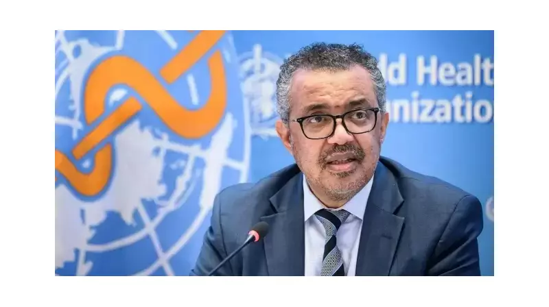 Gazze'de İnsani Yardım Seferberliği: Ateşkes Sonrası Kritik Adımlar