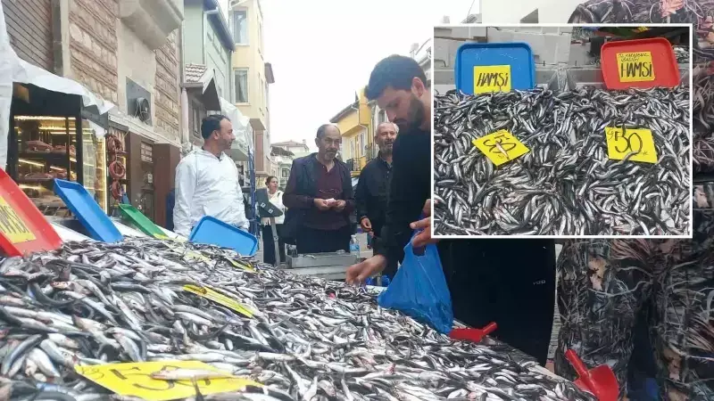Hamsi Bolluğu Piyasaları Altüst Etti! Kilo Fiyatı 50 Liraya Geriledi, Vatandaşlar Kuyruk Oluşturdu