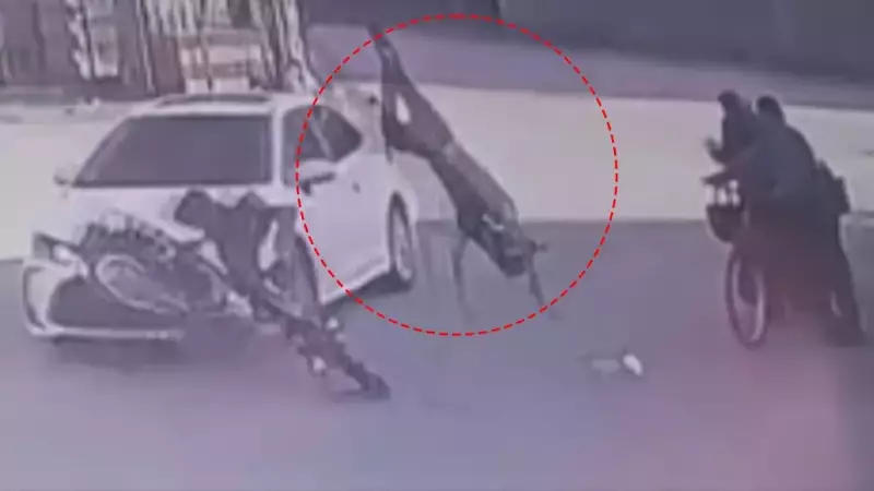 Hatay'da Yürek Burkan Kaza: Otomobil ile Motosiklet Çarpıştı, Yaşlı Çift Sürücünün Üzerine Savruldu!