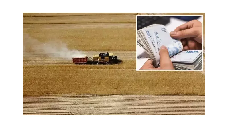 Çiftçinin Yüzünü Güldüren Haber! 4.7 Milyar Liralık Destek Bugün Hesaplarda