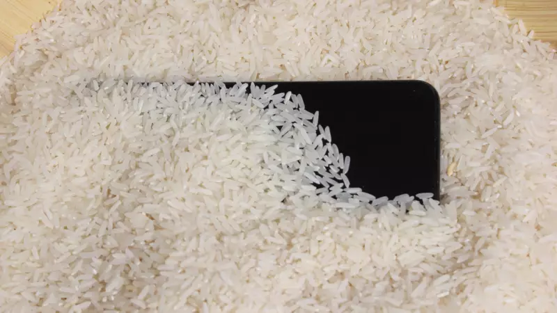 Islanan Telefonu Pirince Koymak: Efsane mi, Gerçek mi? İşte Doğru Yöntemler!