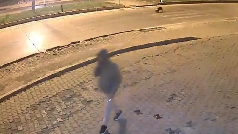 Kahramanmaraş'ta Akılalmaz Cüret: Aynı Markete Üçüncü Kez Baskın!