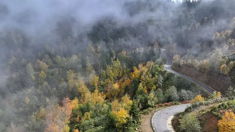 Karadeniz'in Sonbahar Büyüsü: Doğanın En Göz Alıcı Renk Cümbüşüne Tanıklık Edin!