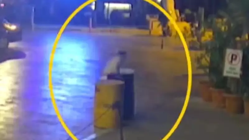 Kayseri'de Kanlı Gece: Silahlı Kavgada 2 Kişi Hayatını Kaybetti, 1 Kişi Yaralandı