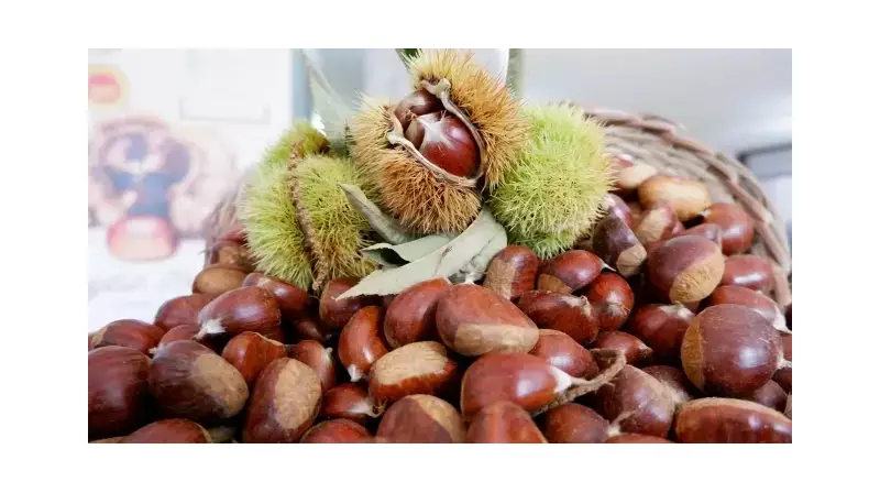 Kestane Mevsimi Başladı Ama Fiyatlar Şok Etti! İşte Pazar Tezgahlarındaki Son Durum