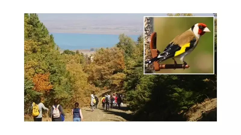 Kuş Kaçakçılarına Operasyon: 247 Kuş Özgürlüğüne Kavuştu!