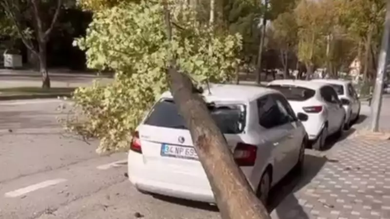 Lodos Bursa'yı Adeta Kasıp Kavurdu: İşte Yaşananların Şaşırtan Detayları!