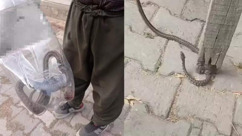 Mahalleli 3 Gün 3 Gece Diken Üstünde! Duvarların Dibinde Nöbet Tuttular