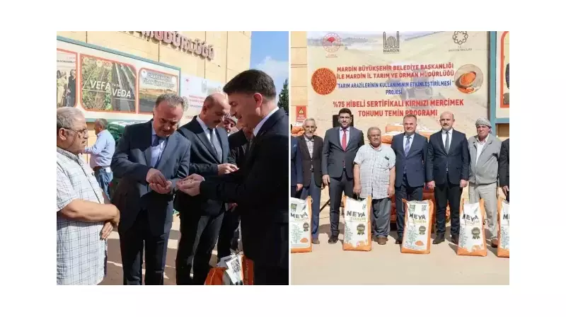Mardin'de Çiftçilere Dev Destek: 96 Ton Nohut ve Mercimek Tohumu Bedava!