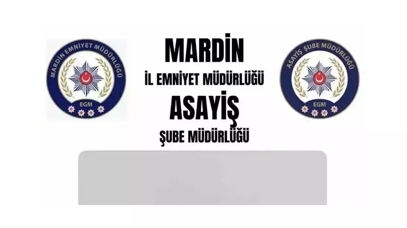 Mardin'de Jandarmadan Kritik Operasyon: Araçta 4 Ruhsatsız Tabanca Ele Geçirildi!