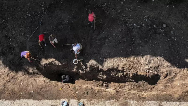 Mersin'de Topraktan Çıkan Dev Hazine: 4 Yıllık Bekleyiş Sonunda Balina İskeleti Gün Yüzüne Çıkıyor!