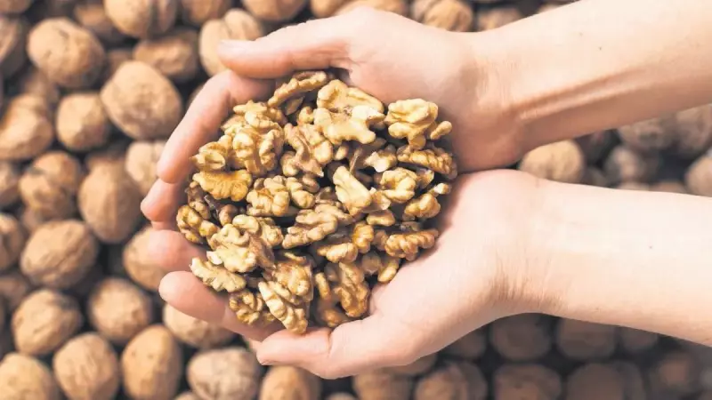 Mutfakta Gizlenen Ağır Metal Tehlikesi: Doğal Süpürge Görevi Gören 7 Besin