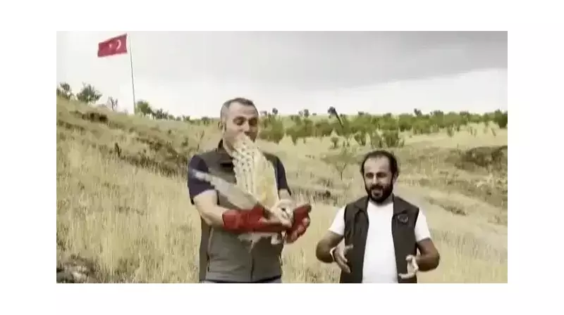 Nadir Görülen Peçeli Baykuş Doğaya Geri Döndü: İnanılmaz Kurtarma Hikayesi!