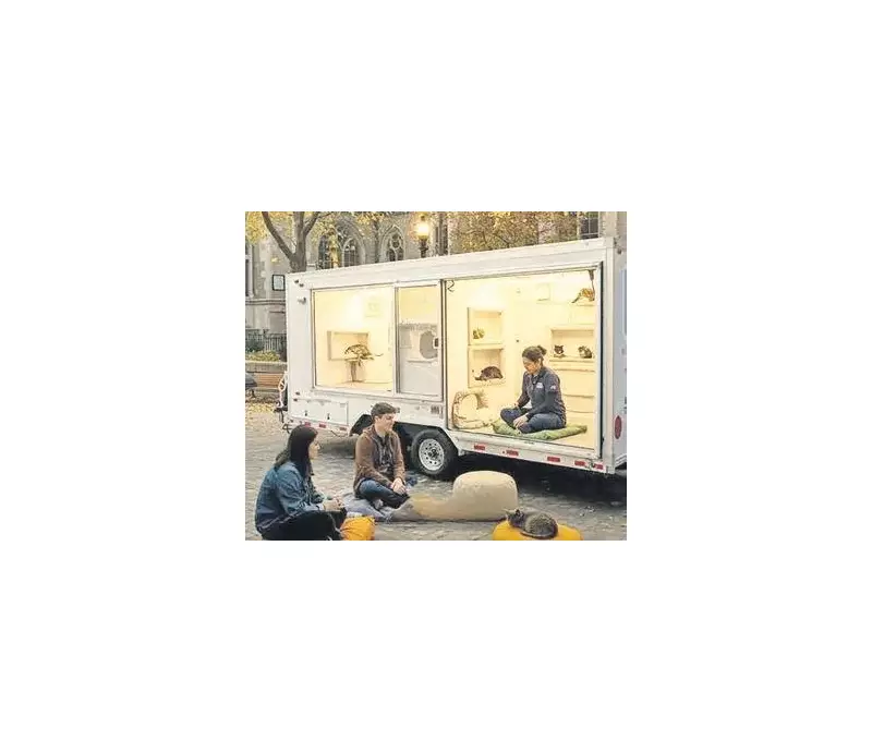 Pofuduk Terapistler Yollarda: Mobil Araçla Kedi Sevmenin İyileştirici Gücü!