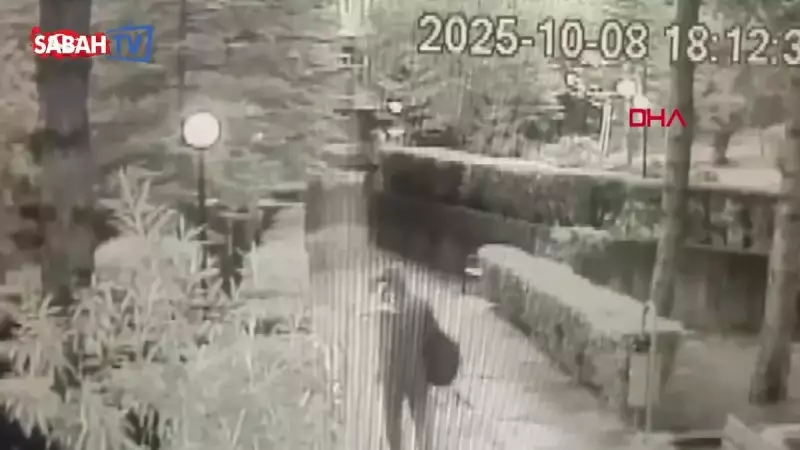 Polis Kılığında Büyük Vurgun! 250 Bin Dolarlık Dolandırıcılık Operasyonunda 2 Şüpheli Yakayı Ele Verdi