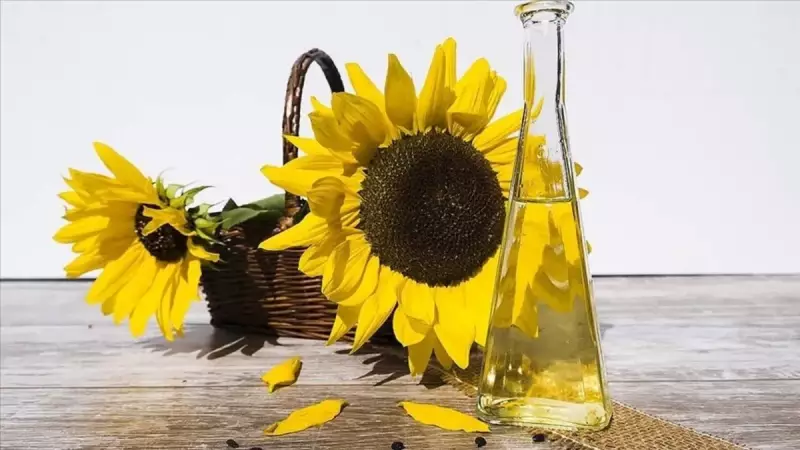 Rusya'dan Ayçiçek Yağına Vergi Şoku! Türkiye'ye İhracatta Gümrük Duvarı