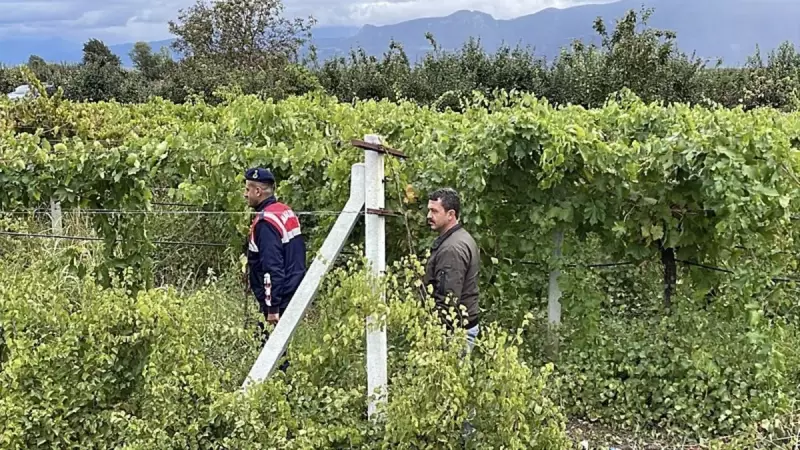 Sakarya'da Yürek Isıtan Dayanışma: Jandarma ve Vatandaşlar Elele Verdi, Emekler Ziyan Olmasın!