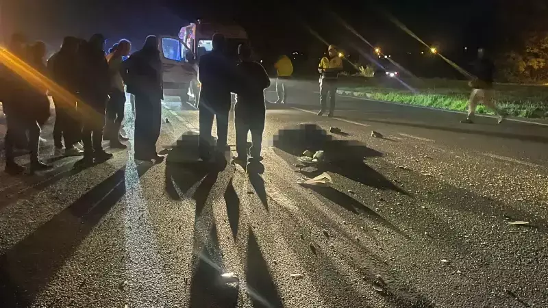 Samsun'da Korkunç Kaza: Kamyonet Yayalara Çarptı, İki Can Gitti!