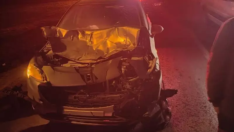 Siirt'te İnanılmaz Kaza: Otomobil ve At Çarpıştı! Sürücü ve At Kurtarıldı