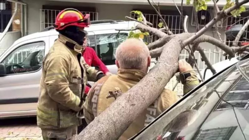 İstanbul'da Fırtına Dehşeti: Beşiktaş ve Şişli'de Elektrik Direkleri ve Ağaçlar Devrildi!